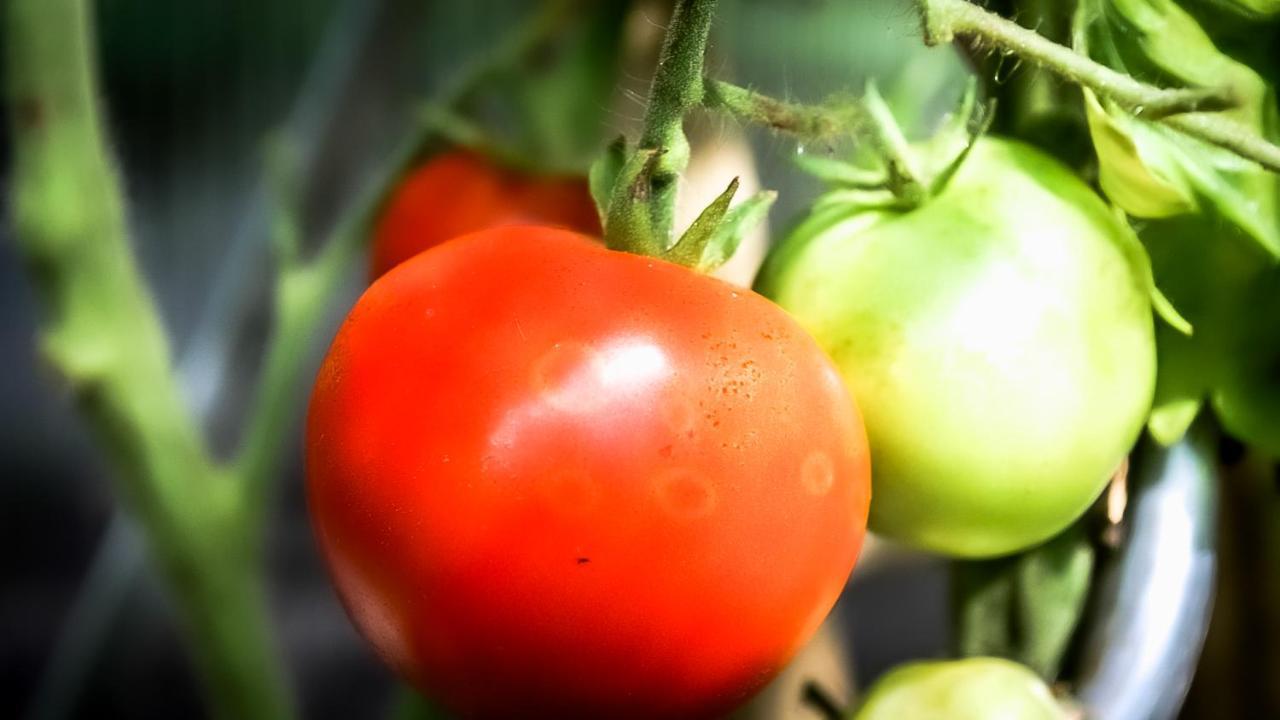 - A Auszeit * Neumarkt in Steiermark